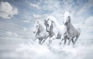 Three Galloping White Horses Wallpaper