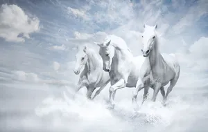 Three Galloping White Horses Wallpaper