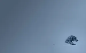 Three On Its Minimum Growth Wallpaper