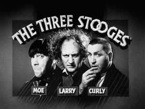 Three_ Stooges_ Promo_ Shot Wallpaper