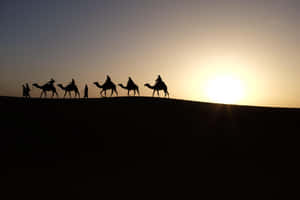 Three Wise Men Journey Wallpaper