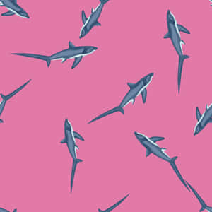 Thresher Sharks Pattern Pink Background Wallpaper