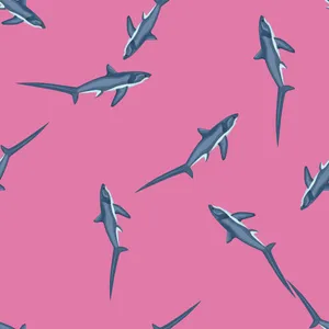 Thresher Sharks Pattern Pink Background Wallpaper