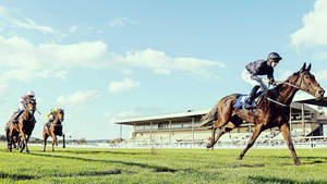 Thrilling Horse Racing Competition On A Sunny Day Wallpaper