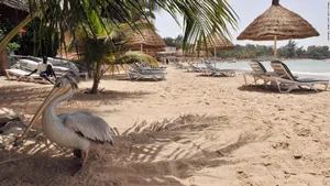 Thrilling Off-road Adventure At Dakar Rally Wallpaper