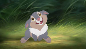 Thumper Smiling Shyly Wallpaper