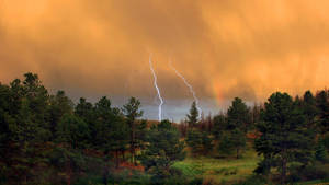 Thunderstorm Over Forest Wallpaper