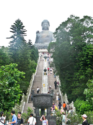 Tian Tan Buddha Wallpaper