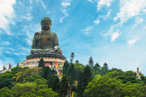 Tian Tan Buddha Wallpaper