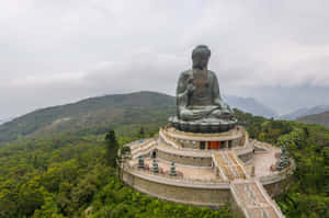 Tian Tan Buddha Wallpaper