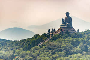 Tian Tan Buddha Wallpaper