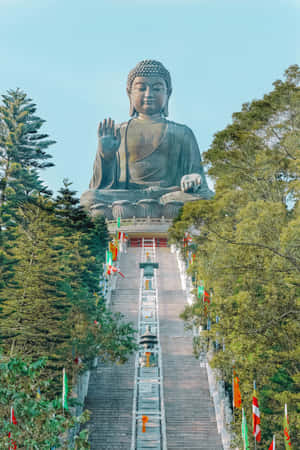 Tian Tan Buddha Wallpaper