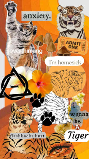 Tiger Themed Collage Emotions Wallpaper