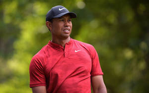 Tiger Woods 2019 Wgc Mexico Wallpaper