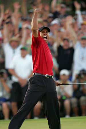 Tiger Woods Iphone Achieved The Goal Wallpaper