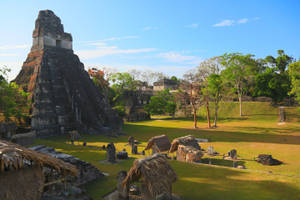 Tikal Golden Sunlight Wallpaper