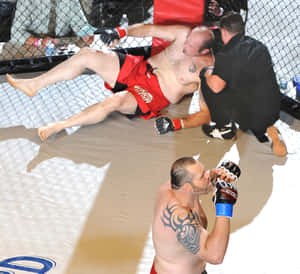 Tim Sylvia Knock-out Artist Wallpaper