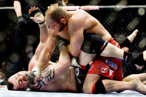 Tim Sylvia Randy Couture Mma Wallpaper