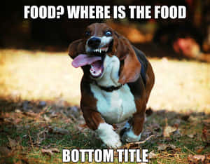 Time To Relax! Wallpaper