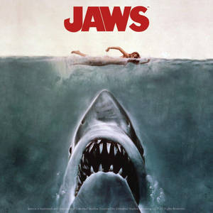 Timeless Movie Poster For The Spielberg Masterpiece 