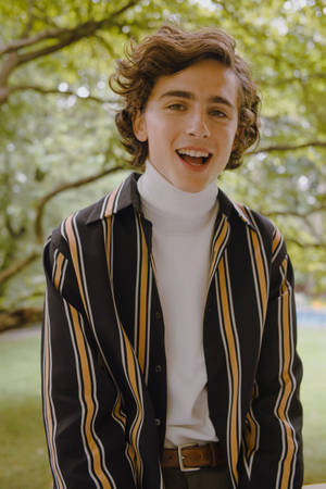 Timothée Chalamet Black And Yellow Polo Wallpaper