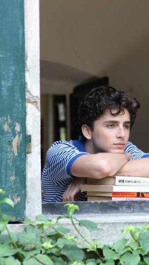 Timothée Chalamet Candid Photograph On Window Wallpaper