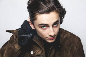 Timothée Chalamet Dark Brown Jacket Wallpaper