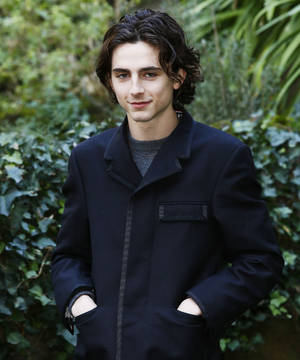 Timothée Chalamet Deep Pockets Wallpaper