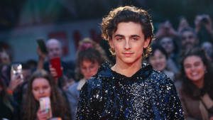 Timothée Chalamet Fancy Sequin Outfit Wallpaper