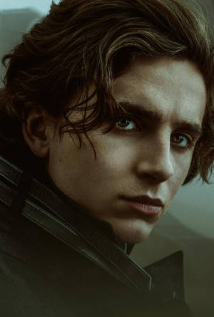 Timothée Chalamet High-quality Dune Photograph Wallpaper