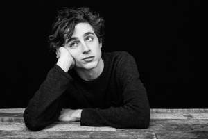 Timothée Chalamet Lazy And Bored Photograph Wallpaper