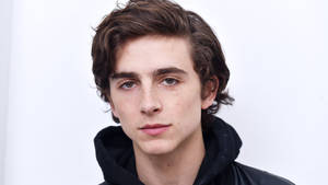 Timothée Chalamet Minimalistic Photograph Wallpaper