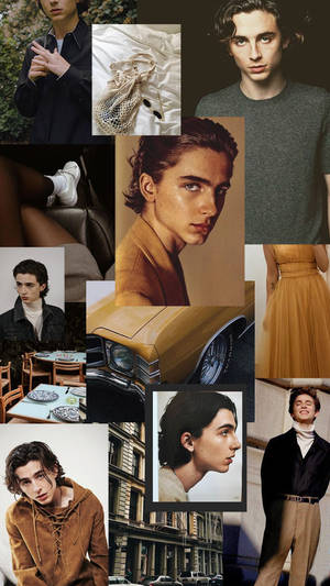 Timothée Chalamet Photograph Collection Wallpaper