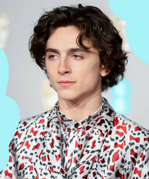 Timothée Chalamet Red Popping Suit Design Wallpaper