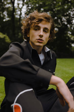 Timothée Chalamet Seated On A Garden Wallpaper