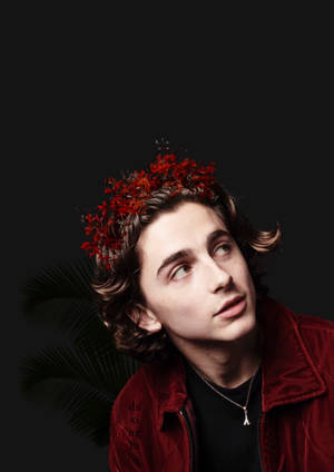 Timothée Chalamet Small Red Flowers Wallpaper