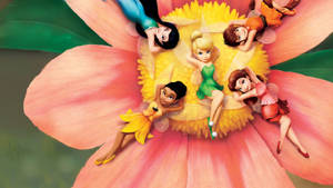 Tinker Bell On A Flower Wallpaper