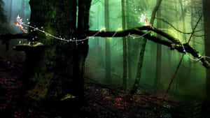 Tiny Fairies Forest Wallpaper