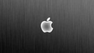 Titanium Apple Logo Background Wallpaper