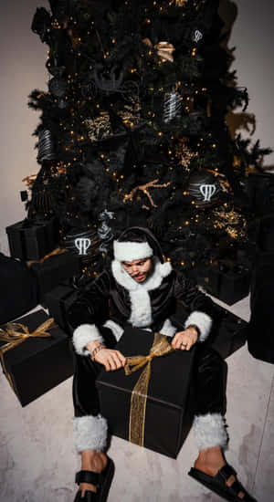 Tito Double P Holiday Style Wallpaper