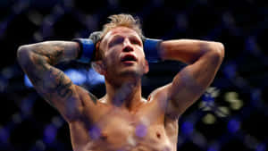 Tj Dillashaw Holding His Head Wallpaper
