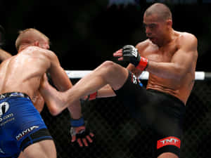 Tj Dillashaw Versus Renan Barao Ufc Fight Wallpaper