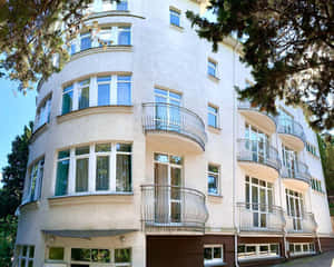 Tmm-yalta Boarding House Wallpaper