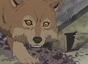Toboe, The Loyal Young Wolf Of Wolf's Rain Wallpaper