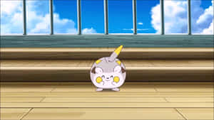 Togedemaru Looking Excited Wallpaper