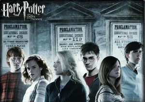 Together, The Order Of Phoenix Stands In Courage To Protect Those In Need. Wallpaper