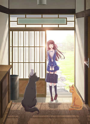 Tohru Honda With Pets Fruits Basket Anime Wallpaper