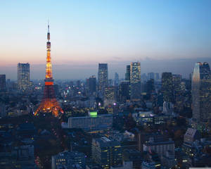 Tokyo's Bright Yellow Tower Wallpaper