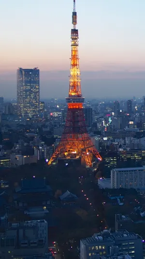 Tokyo Tower Night Sky Top Iphone Hd Wallpaper