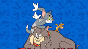 Tom And Jerry Up To Their Usual Antics In This Hilarious Scene. Wallpaper